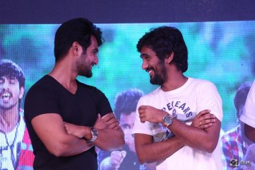 Seethamma Andaalu Raamayya Sithraalu Platinum Disc Function